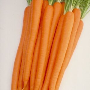 BABY CARROT