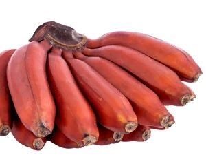 Banana Red
