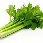 CELERY
