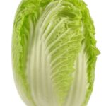 CHINESE CABBAGE