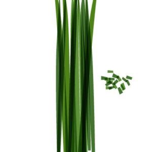 CHIVES FRESH