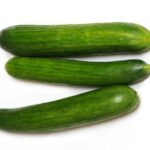 CUCUMBER-EUROPEAN
