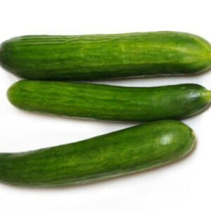 CUCUMBER-EUROPEAN