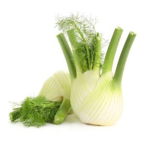 FENNEL