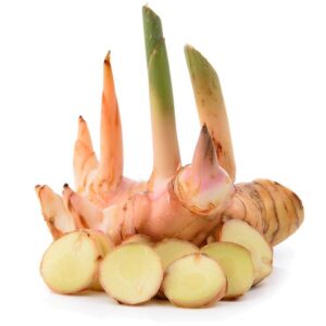 GALANGAL GINGER