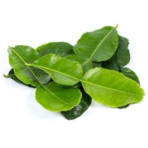 KAFFIR LIME