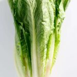 LETTUCE ROMAINE
