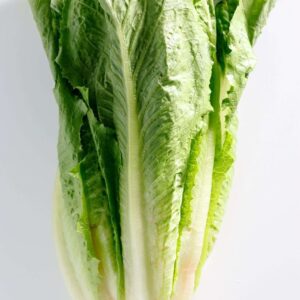 LETTUCE ROMAINE