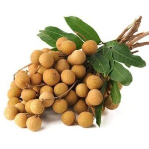 LONGAN THAI
