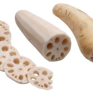 LOTUS STEM
