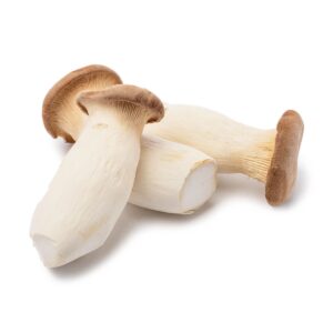 MUSHROOM ENOKI