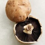 MUSHROOM PORTABELLO