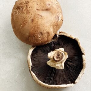 MUSHROOM PORTABELLO