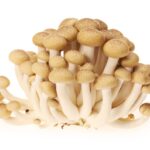MUSHROOM SHIMEJI BROWN