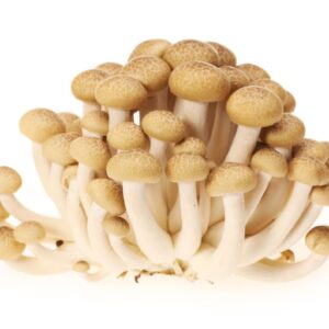 MUSHROOM SHIMEJI BROWN