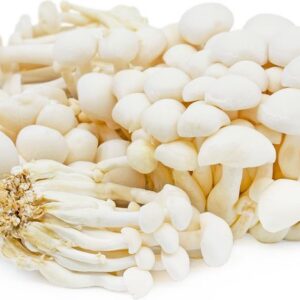MUSHROOM SHIMEJI WHITE