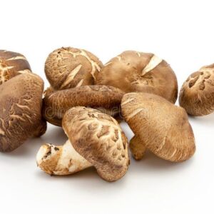 MUSHROOM SHITAKE