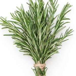 ROSEMARY
