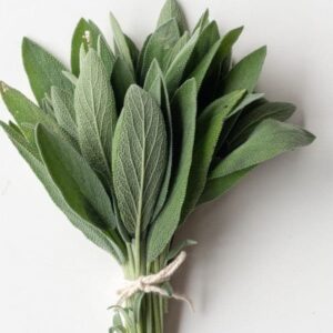 SAGE LEAVES