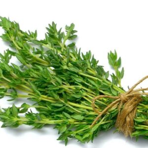 THYME