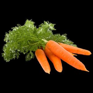 Baby Carrot with leaves