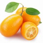 Kumquat