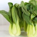 BOK CHOY