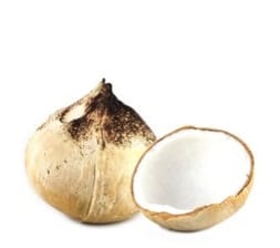 BURN COCONUT
