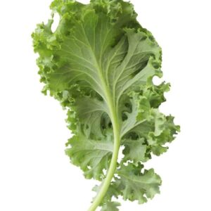 LETTUCE CHINESE KALE